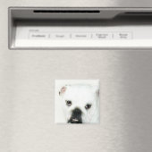 Witte buldog magneet (Insitu (Vaatwasser))