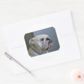 witte Bulldog.png Ronde Sticker (Envelop)