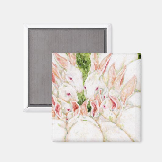 Witte Bunnies Magneet (Voorkant / Achterkant)