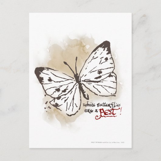 Witte Butterflies zijn een Pest Briefkaart (Voorkant)