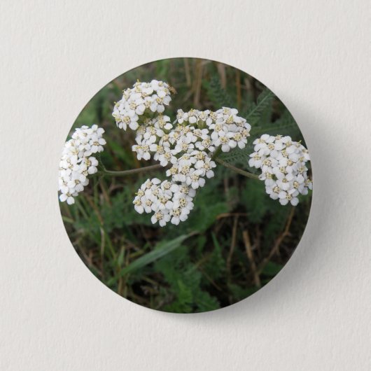 Witte Button van wilde bloemen (Voorkant)