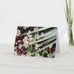 Witte cactus bloem & blad feestdagen kaart