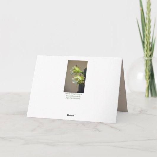 Witte Cactus Bloemen Bloemen Bloemen Taupe Blank N Kaart (Achterkant)