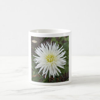 Witte Cactus Dahlia Bloemen Mok