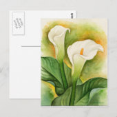 Witte Cala Lelie Bloemenaquarel Briefkaart (Voorkant / Achterkant)