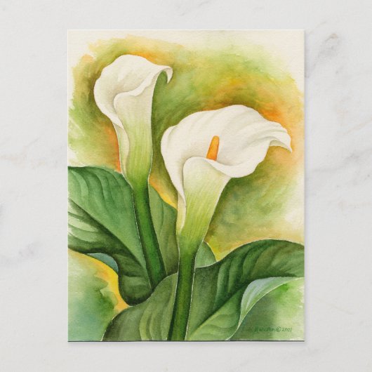 Witte Cala Lelie Bloemige Waterverf Briefkaart (Voorkant)
