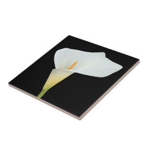 Witte Calla Lelie Bloem Achtertuin Tuin Foto Tegeltje