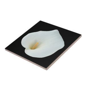 Witte Calla lelie bloem achtertuin tuin foto Tegeltje