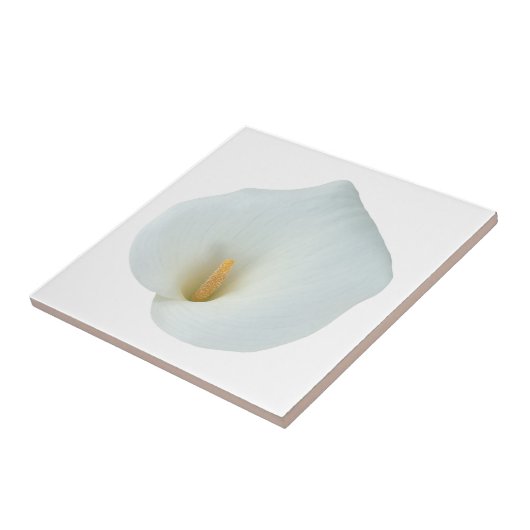 Witte Calla Lelie Bloem Achtertuin Tuin Foto Tegeltje (Zijkant)