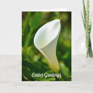 Witte Calla Lelie Bloem Pasen Kaart