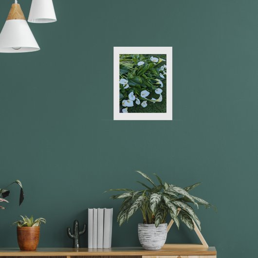 Witte Calla Lelie Bloesems Bloemen Poster (Woonkamer 1)