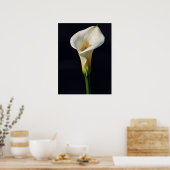 Witte Calla Lelie Fijne Kunst Olie Schilderij Prin Poster (Keuken)