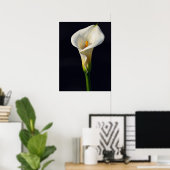 Witte Calla Lelie Fijne Kunst Olie Schilderij Prin Poster (Thuiskantoor)