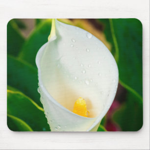 Witte Calla Lelie Macro Botanische Foto Natuur Kun Muismat