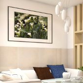 Witte Calla-lelies Bloemfotografie Poster