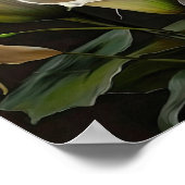 Witte Calla Lelies Lelie Bloem Kunstprint Poster (Hoek)