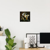 Witte Calla Lelies Lelie Bloem Kunstprint Poster (Thuiskantoor)