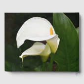Witte Calla Lilies Floral Memorial Service Gastenboek (Achterkant)