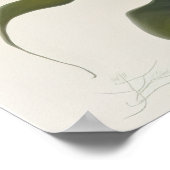 Witte Calla Lilies Lily Bloemenkunst Print Poster (Hoek)