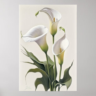 Witte Calla Lilies Lily Bloemenkunst Print Poster
