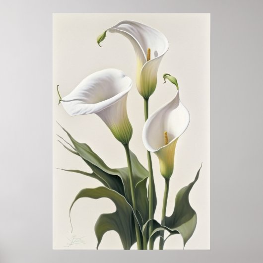 Witte Calla Lilies Lily Bloemenkunst Print Poster (Voorkant)