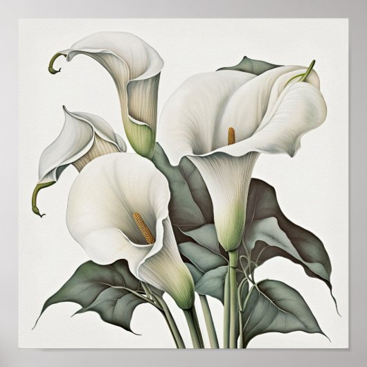 Witte Calla Lilies Lily Bloemenkunst Print Poster (Voorkant)