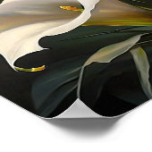 Witte Calla Lilies Lily Bloemenkunst Print Poster (Hoek)