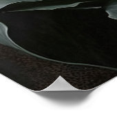 Witte Calla Lilies Lily Bloemenkunst Print Poster (Hoek)