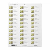 Witte calla lilies van bovenaf etiket (Full Sheet)