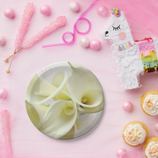 Witte calla lilies van bovenaf papieren bordje (Feest)