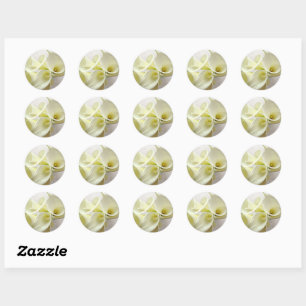 Witte calla lilies van bovenaf ronde sticker
