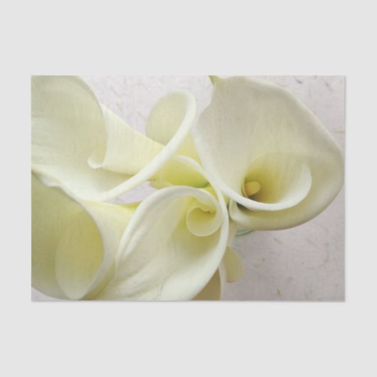 Witte calla lilies van bovenaf tissuepapier (Voorkant)