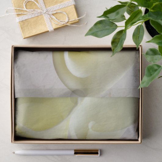 Witte calla lilies van bovenaf tissuepapier (Geschenk)