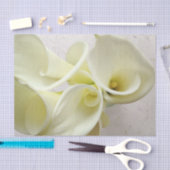 Witte calla lilies van bovenaf tissuepapier (Craft)