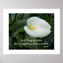 Witte Calla Lily Aristoteles Filosofische Quote Poster