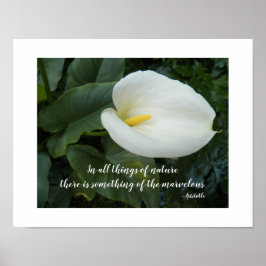 Witte Calla Lily Aristoteles Filosofische Quote Poster