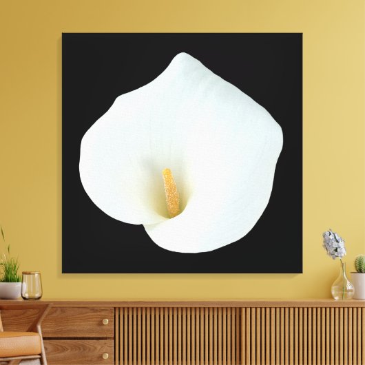Witte Calla Lily Bloem Achtertuin Foto Canvas Afdruk (Insitu (Woonkamer))