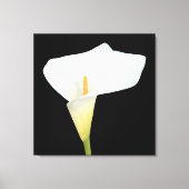 Witte Calla Lily Bloem Achtertuin Foto Canvas Afdruk (Voorkant)