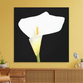 Witte Calla Lily Bloem Achtertuin Foto Canvas Afdruk