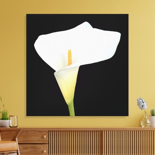 Witte Calla Lily Bloem Achtertuin Foto Canvas Afdruk (Insitu (Woonkamer))