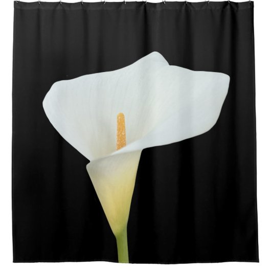 Witte Calla Lily Bloem Achtertuin Foto Douchegordijn (Voorkant)