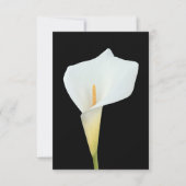 Witte Calla Lily Bloem Achtertuin Foto Kaart (Voorkant)