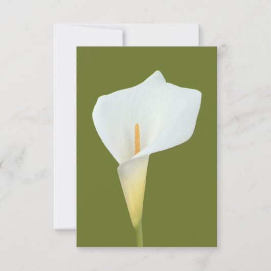 Witte Calla Lily Bloem Achtertuin Foto Kaart (Voorkant)
