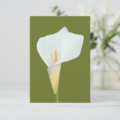 Witte Calla Lily Bloem Achtertuin Foto Kaart (Staand voorkant)