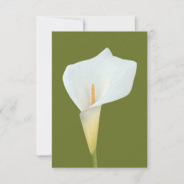 Witte Calla Lily Bloem Achtertuin Foto Kaart
