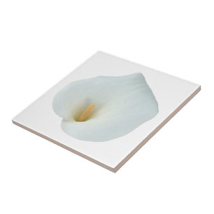 Witte Calla Lily Bloem Achtertuin Foto Tegeltje