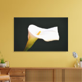 Witte Calla Lily Bloem Dramatische Fotografische K Canvas Afdruk (Insitu (Woonkamer))