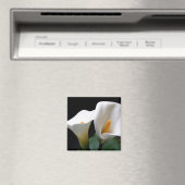 Witte Calla Lily bloem vierkante magneet (Insitu (Vaatwasser))