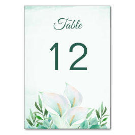Witte Calla Lily Bloemen Tafel Aantal Kaarten