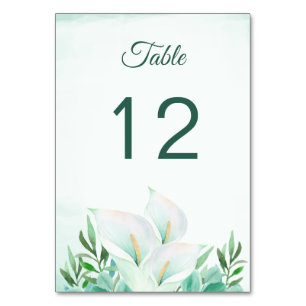 Witte Calla Lily Bloemen Tafel Aantal Kaarten